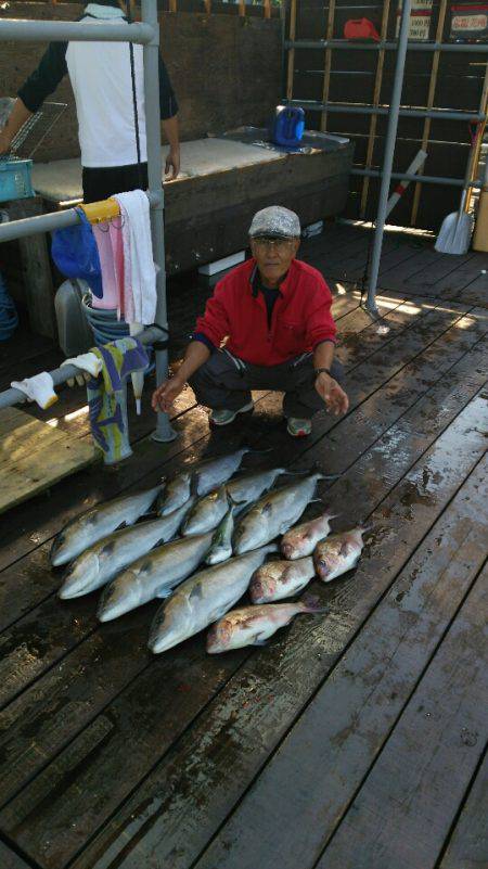 海上釣堀フィッシングレインボー 釣果