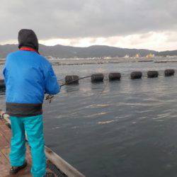 淡路じゃのひれフィッシングパーク 釣果