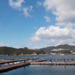 淡路じゃのひれフィッシングパーク 釣果