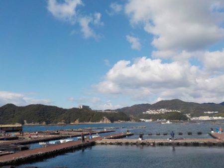 淡路じゃのひれフィッシングパーク 釣果