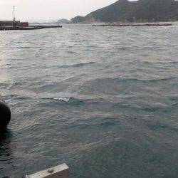 淡路じゃのひれフィッシングパーク 釣果