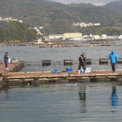 淡路じゃのひれフィッシングパーク 釣果