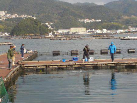 淡路じゃのひれフィッシングパーク 釣果