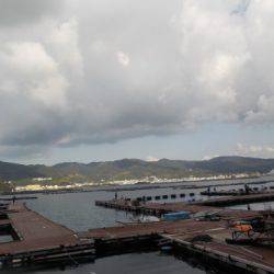 淡路じゃのひれフィッシングパーク 釣果