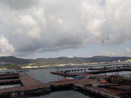 淡路じゃのひれフィッシングパーク 釣果