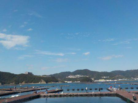 淡路じゃのひれフィッシングパーク 釣果