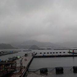 淡路じゃのひれフィッシングパーク 釣果