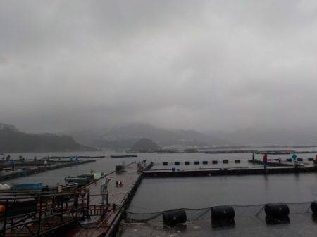 淡路じゃのひれフィッシングパーク 釣果