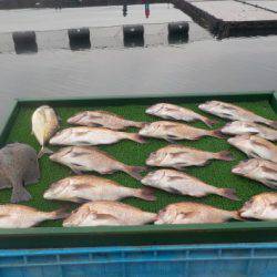 淡路じゃのひれフィッシングパーク 釣果