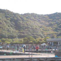 淡路じゃのひれフィッシングパーク 釣果