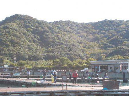 淡路じゃのひれフィッシングパーク 釣果