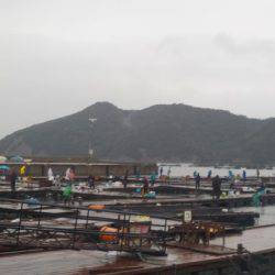 淡路じゃのひれフィッシングパーク 釣果