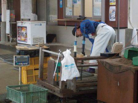 淡路じゃのひれフィッシングパーク 釣果