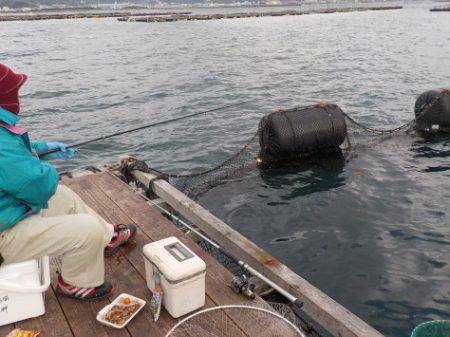 淡路じゃのひれフィッシングパーク 釣果