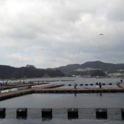 淡路じゃのひれフィッシングパーク 釣果