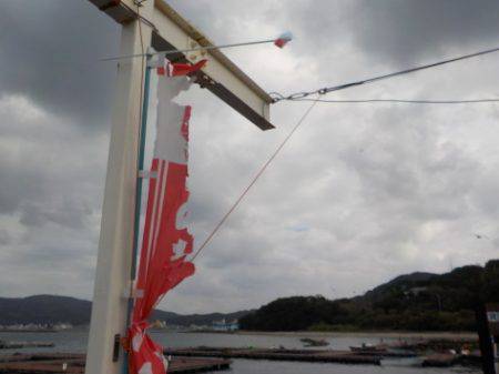 淡路じゃのひれフィッシングパーク 釣果