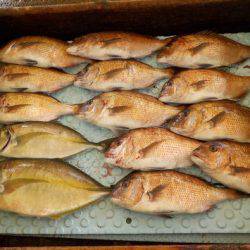 淡路じゃのひれフィッシングパーク 釣果