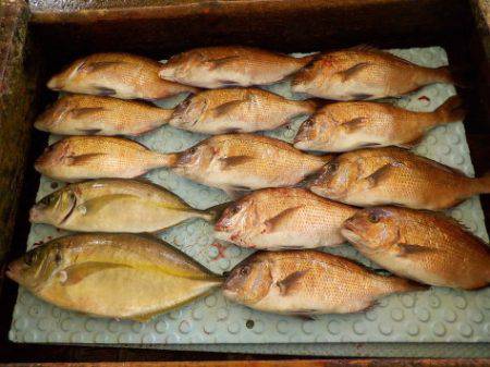 淡路じゃのひれフィッシングパーク 釣果