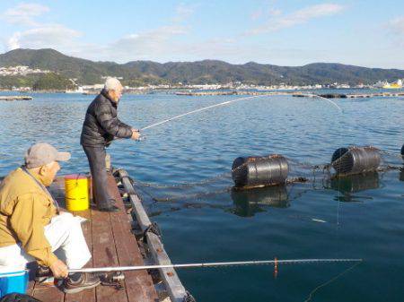 淡路じゃのひれフィッシングパーク 釣果