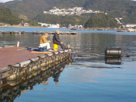 淡路じゃのひれフィッシングパーク 釣果