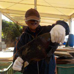 淡路じゃのひれフィッシングパーク 釣果