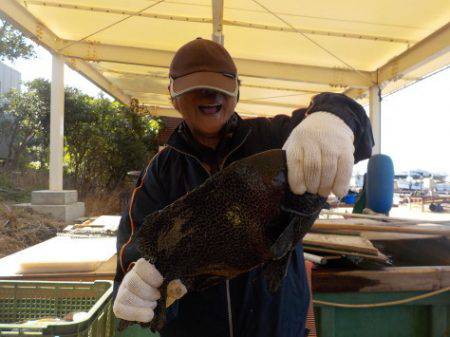 淡路じゃのひれフィッシングパーク 釣果