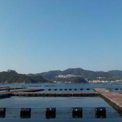 淡路じゃのひれフィッシングパーク 釣果