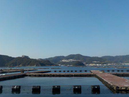 淡路じゃのひれフィッシングパーク 釣果