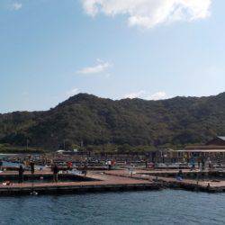 淡路じゃのひれフィッシングパーク 釣果