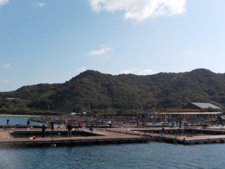 淡路じゃのひれフィッシングパーク 釣果