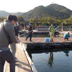 淡路じゃのひれフィッシングパーク 釣果