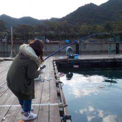 淡路じゃのひれフィッシングパーク 釣果