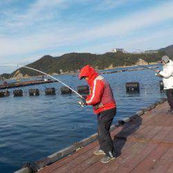 淡路じゃのひれフィッシングパーク 釣果
