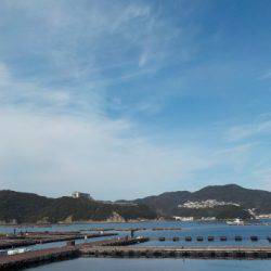 淡路じゃのひれフィッシングパーク 釣果