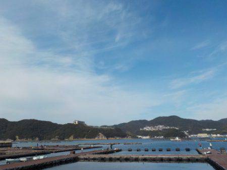 淡路じゃのひれフィッシングパーク 釣果