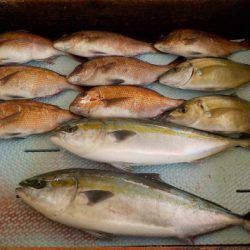 淡路じゃのひれフィッシングパーク 釣果