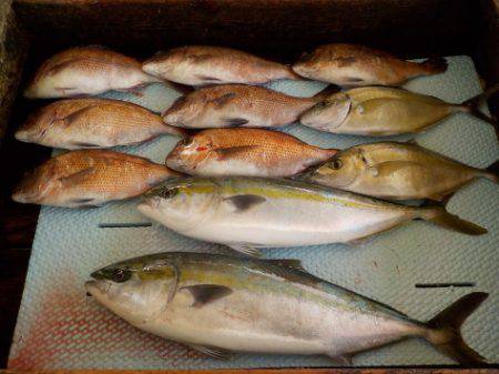 淡路じゃのひれフィッシングパーク 釣果