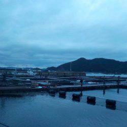 淡路じゃのひれフィッシングパーク 釣果