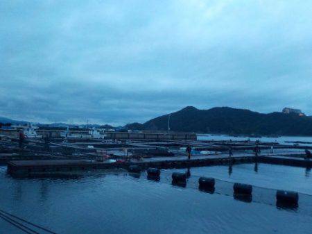 淡路じゃのひれフィッシングパーク 釣果