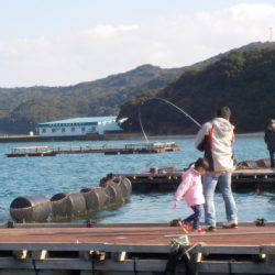 淡路じゃのひれフィッシングパーク 釣果