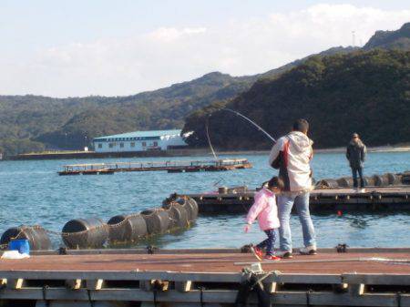 淡路じゃのひれフィッシングパーク 釣果