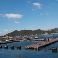 淡路じゃのひれフィッシングパーク 釣果