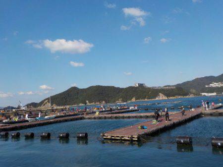 淡路じゃのひれフィッシングパーク 釣果