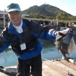 淡路じゃのひれフィッシングパーク 釣果
