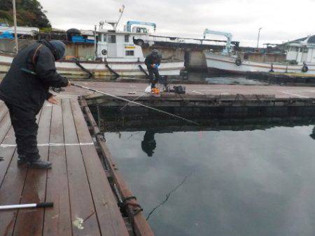 淡路じゃのひれフィッシングパーク 釣果