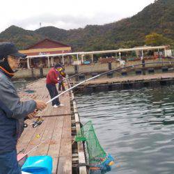 淡路じゃのひれフィッシングパーク 釣果