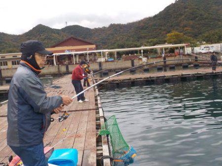 淡路じゃのひれフィッシングパーク 釣果