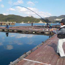 淡路じゃのひれフィッシングパーク 釣果