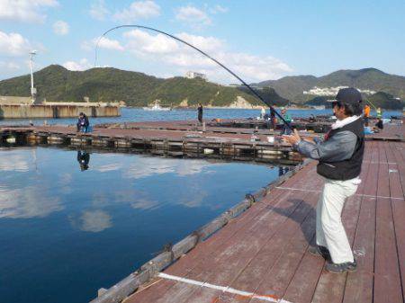 淡路じゃのひれフィッシングパーク 釣果