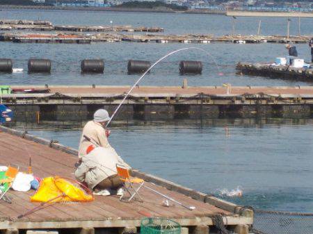 淡路じゃのひれフィッシングパーク 釣果